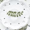 Folha espinhosa Marechal flor seca diy moldura de foto artesanal marcador aromaterapia gota cola flor seca em relevo saco caso de telefone móvel espécime de planta