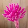 Comércio eletrônico transfronteiriço comércio exterior Amazon cor flor seca rabo de coelho grama atacado diy pequeno buquê vaso buquê