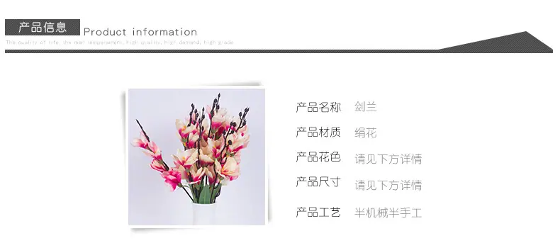 7剑兰小把花_03.jpg