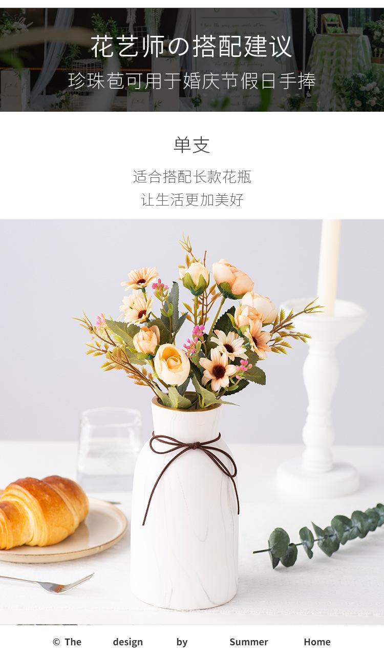 苞苞橘最终-(1)_06