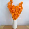 Pequeños Regalos para el Día de San Valentín Chino, Ramo de Flores Eternas Hoja de Manzana Estilo Nórdico, Hojas Redondas Eucalipto Flores Secas al por Mayor