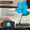 Colorante para flores, absorbente de color para rosas, solución absorbente de color, tinte, colorante para ramos y floristerías