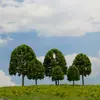 Mesa de arena modelo árbol musgo decoración micro paisajismo fondo árbol falso simulación modelo paisajismo fresno árbol de Navidad árbol falso
