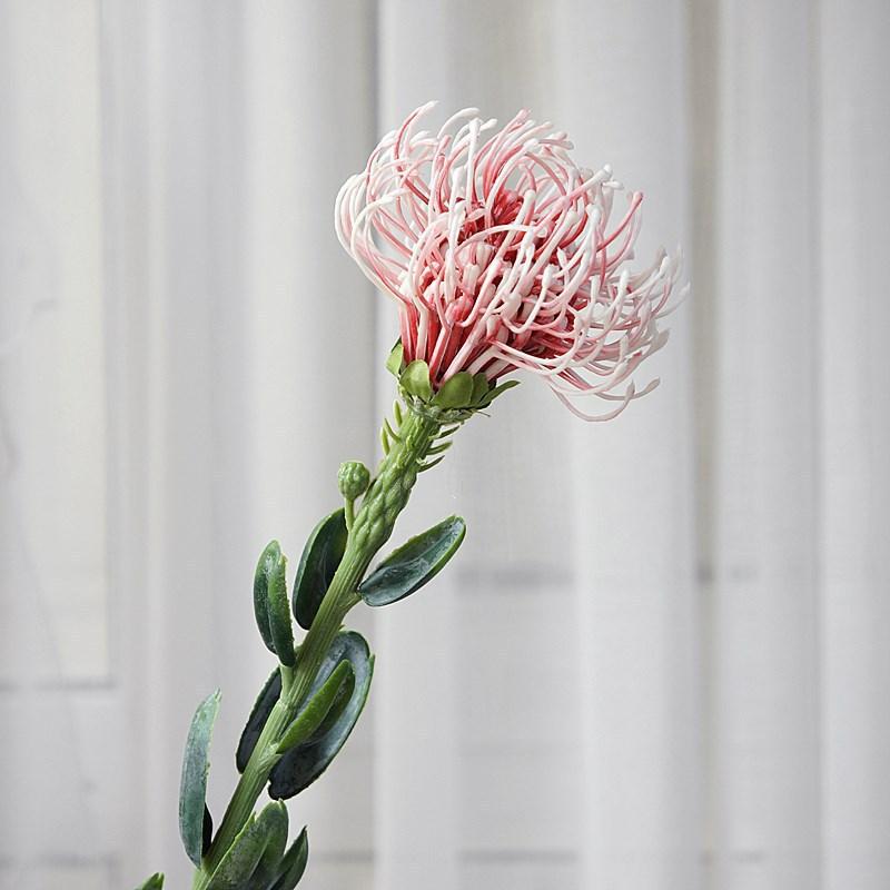 一键复制_20201118155725