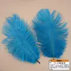 Accesorios de ropa de plumas de avestruz de colores materiales de decoración de bodas accesorios de plumas hechos a mano DIY decoración del hogar