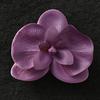 Materiais de Embalagem para Buquês Jemi, Suprimentos para Floristas, Embalagem Floral, Spray Corante à Base de Água, Tinta Spray, Spray para Flores