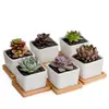 Jikai Simple Blanco Creativo Maceta de Flor Carnosa Comercio Exterior Transfronterizo Cuadrado Escritorio zakka Soporte para Macetas de Bambú