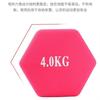 Mancuernas con Recubrimiento de Plástico para Mujeres, Ejercicio de Fitness en Casa, Mancuernas Pequeñas para Adelgazar Brazos, Unisex, Adecuadas para Estudiantes y Niños, Mancuernas de Hierro Fundido