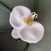 Flor Simulada Algodão Silicone Cabeça Orquídea Borboleta 3D Popular Xiaohongshu Presente de Casamento Decoração Lembrancinha Flor Falsa Atacado
