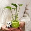 Novo Panda Vaso Hidropônico Ornamentos de Mesa Escritório Planta Aquática Estação de Flores Arranjo de Flores Decorações para Sala de Estar