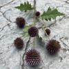 Simulación verde de una pequeña bola de cebolla, nueva bola de cebolla verde de 7 piezas, bola blanca y roja, decoración de paisaje suave para bodas, lote de flores falsas.