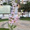 Nueva simulación flor campanilla delphinium comercio exterior 2 horquillas flor Qianxun guía de camino de boda decoración de techo flor artificial venta al por mayor