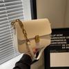 Bolso bandolera para mujer, de alta gama, para primavera y verano, combinable con todo, estilo retro, popular en Internet, pequeño, cuadrado, 2025