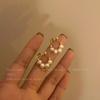 Aretes de Perlas Vintage para Mujer Estilo ins Diseño Nicho Lujo Ligero Alta Gama Franceses Suaves para Otoño e Invierno Aretes de Botón