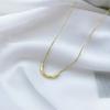 Collar con Colgante de Tubo Curvo Diseño de Moda Estilo Minimalista de Nicho Cadena Corta para Clavícula Cadena para el Cuello Cadena de Estilo Geométrico