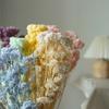 Flores de Mijo Conservadas Blancas, Flores de Mijo Secas, Venta al por Mayor desde Fabricante, Materiales para Uñas Hechas a Mano DIY