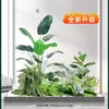 Arranjo de Paisagem Artificial Minimalista com Micro-Plantas para Recepção Comercial, Corredor e Decoração de Entrada, Ornamento de Musgo Artificial de Alta Qualidade