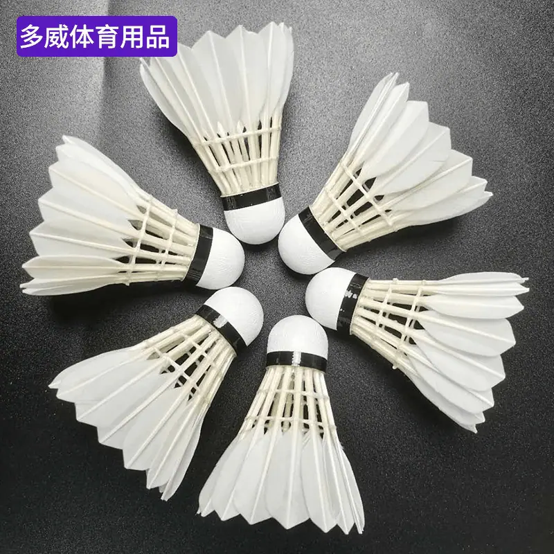 0b48204f261a2cf13c6c74fc825e62
