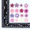 Flores Secas de Phlox Gomas Embossing Espécime de Planta Porta-Retrato Divisória DIY Decalque Material Artesanal Infantil