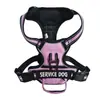 Arnés para Perro Cuaderno Personalizado Arnés Chaleco para Perro Arnés Antiperdida Lindo Mascota Arnés de Entrenamiento para Perro Pequeño