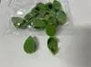 Clip para Plantas Verde Clip Fijador para Enredaderas de Rosas Artefacto Clip de Crecimiento para Plantas Pared de Escalada Clip de Pared Autoadhesivo Almacenamiento de Cables