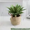 Simulação Planta Verde Bonsai Sisal Folha Grande Gladíolo Planta do Deserto Tropical Janela Paisagismo Decoração Planta Artificial Ponto