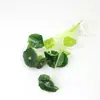 Atacado Transfronteiriço Decoração para Casa Plantas Verdes, Ramalhetes de Plantas Semelhantes a Folhas de Lótus, Centella Asiática Mini, Plantas Aquáticas para Aquário, Centella Asiática