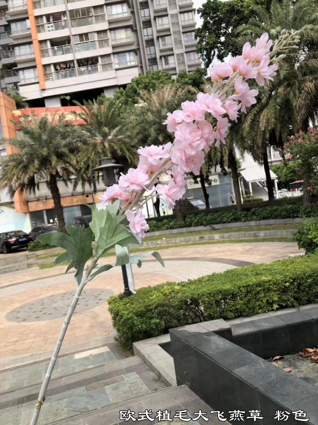 微信图片_20201020173925.jpg