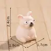 Figuras de Animais Especiais com Olhos Grandes para Design de Micro-Paisagem, 6 Tipos de Artesanato de Resina de Animais Pequenos Fofos Atacado