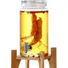 Garrafa de Vinho Taça de Vinho Doméstico Selada de Alta Qualidade Garrafa de Vinho Especial Garrafa de Vinho Medicinal com Ginseng Pote de Vinho Garrafa Vazia com Torneira