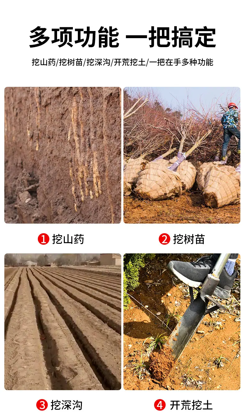 详情-02.jpg