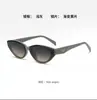 Gafas de Sol Irregulares Estilo Gato con Protección Solar, Gafas de Sol de Montura Pequeña a la Moda para Mujer, Gafas de Estilo Europeo y Americano de Alta Gama Transfronterizas