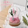 61º Día del Niño DIY Flor Eterna Tapa de Cristal Hecho a Mano Materiales de Flores Secas Kit Jardín de Infancia Construcción de Equipo Padre-Hijo Taller de Arreglos Florales