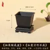 Vaso Quadrado Criativo Planta Suculenta Árvore da Fortuna Bonsai Jardinagem Especial Vaso de Flor de Resina Vaso de Plástico Simples