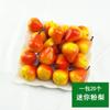 20 Un paquete de simulación Mini modelo pequeño de fruta espuma modelo de verdura material didáctico de jardín de infantes decoración hecha a mano DIY