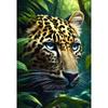 Pintura Diamante 5D Llena de Diamantes Animal León Bordado Diamante DIY Diamante Redondo Punto de Cruz Pintura Diamante Hecha a Mano Pintura Decoración Hogar
