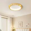 [Estrictamente Seleccionado] Lámpara de Techo Estilo Medieval Redonda Creativa Moderna Casual Restaurante Espectro Completo Protección Ocular Lámpara para Estudio