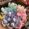 Goma Elástica Nudosa, Goma Elástica, Cuerda para el Cabello, Los Colores y Estilos se Envían Aleatoriamente, Se Puede Ajustar Libremente al Tamaño, Promoción de Regalo