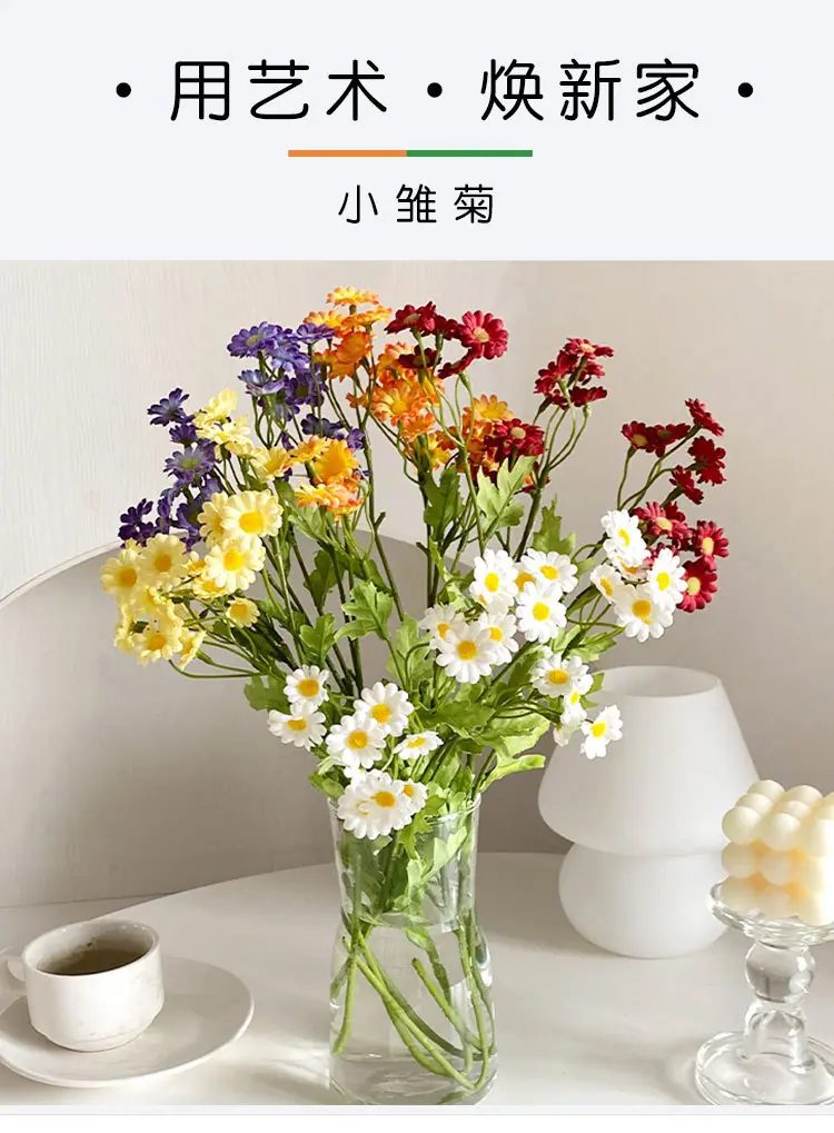 小邹菊_01.jpg