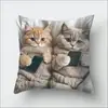 Fronha de gato mais vendida da TEMU para brincar com celular, capa de almofada decorativa para sofá de casa com estampa digital ultra macia