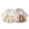 Vestido de Princesa Peludo Lindo Estilo Nuevo de Primavera para 26 Años, Vestido Tutú de Celebridad de Internet, Dulce Vestido de Princesa con Mangas Largas de Encaje, Moderno