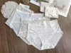 Roupa Íntima Feminina Novo Estilo Jacquard Modal Estilo Coreano Café com Leite Simples Macia Menina Cintura Média Jovem Cuecas Preço Especial Atacado