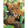 Pintura de Diamante Nova Transfronteiriça Série Animal: Feras Ferozes, Leões, Tigres, Pintura Diamante com Pedras Quadradas/Redondas, Pintura Decorativa Feita à Mão