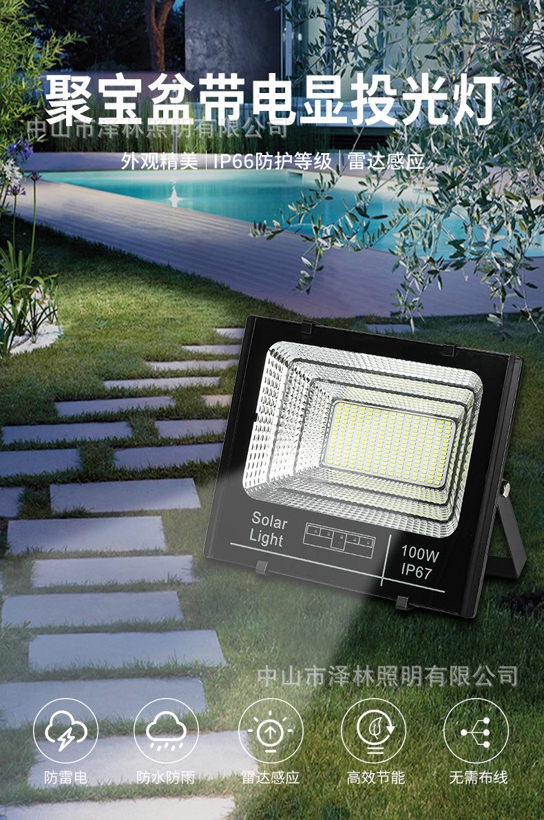 聚宝盆带电显投光灯_01
