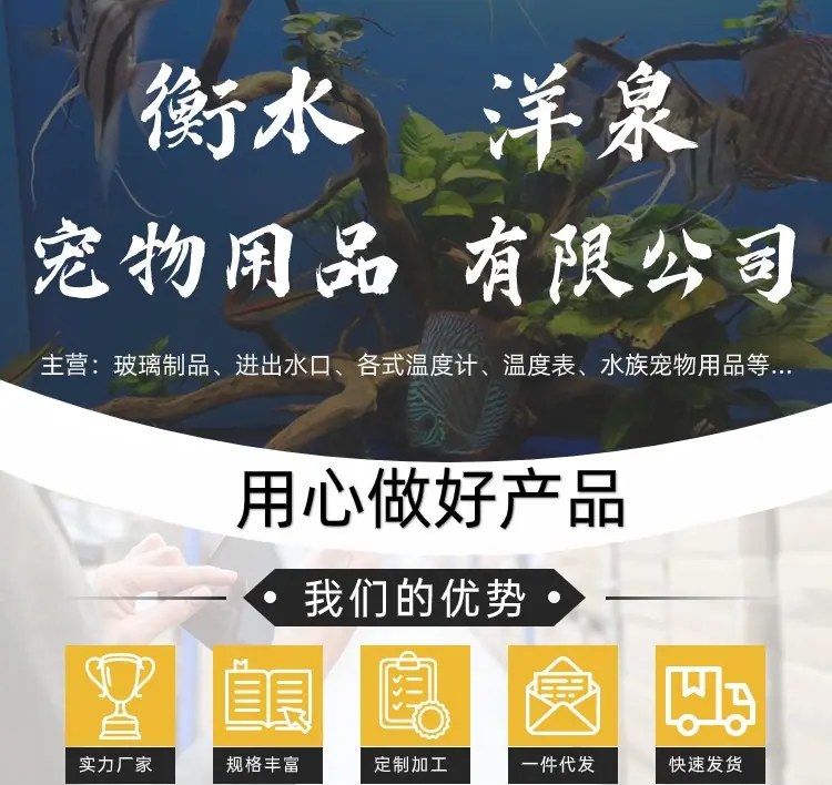 洋泉