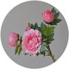 Flores Artificiales de Decoración para el Hogar de Alta Gama al por Mayor, Arreglos Florales para Sala de Estar, Flores Falsas, Flores de Seda de Peonía Imperial de 4 Cabezas