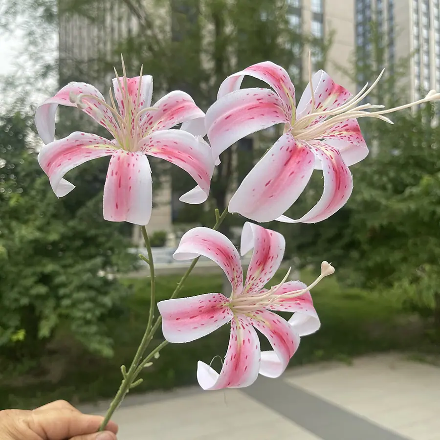 3头铸筋金玉百合-深粉心.JPG