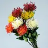 Flores Artificiales para Accesorios de Fotografía, Arreglos Florales, Bodas y Decoración del Hogar: Crisantemo, Áster, Asteraceae, Crisantemo Pinza de Cangrejo
