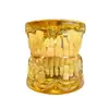 Modelo de Dente Decíduo e Permanente Alternado de Comércio Exterior Modelo Dental Modelo de Dente Decíduo e Permanente Alternado