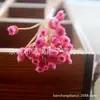 50 pequeñas flores felices, pensamientos, flores, venta al por mayor, caja de regalo, flores secas, pequeñas botellas de vidrio frescas japonesas, accesorios para fotos de flores
